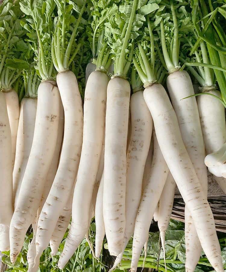 Long White Daikon Radish Seeds