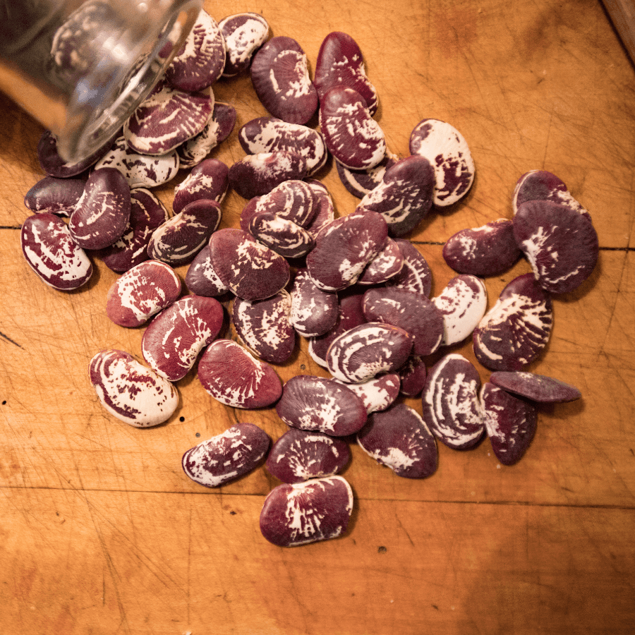 Christmas lima beans Seeds