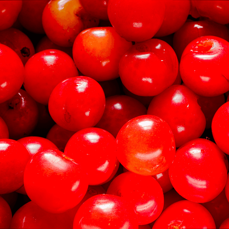 Himalayan sweet cherry