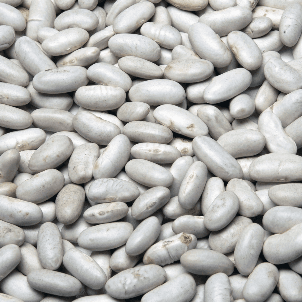 White beans rajma