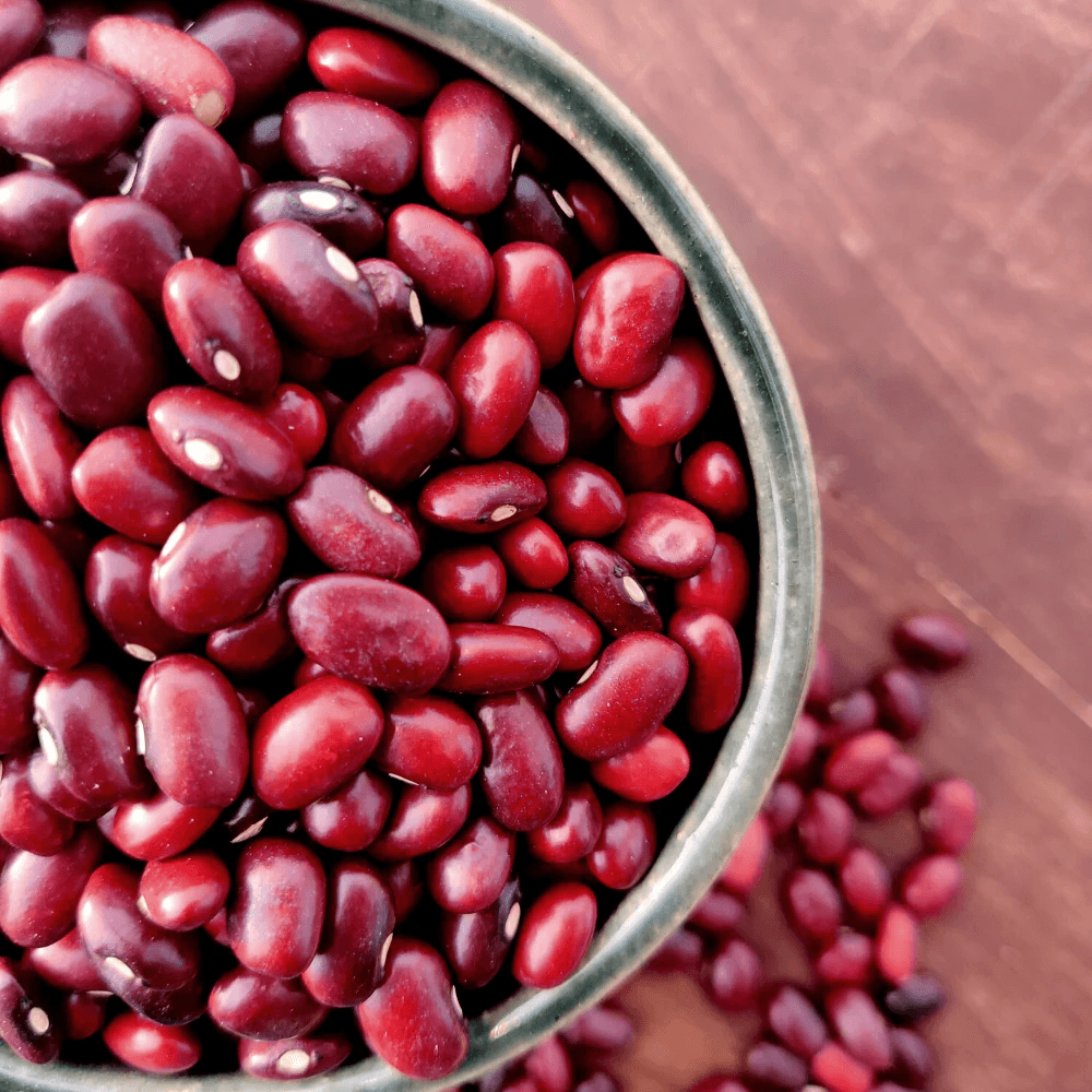 Rajma beans Jammu