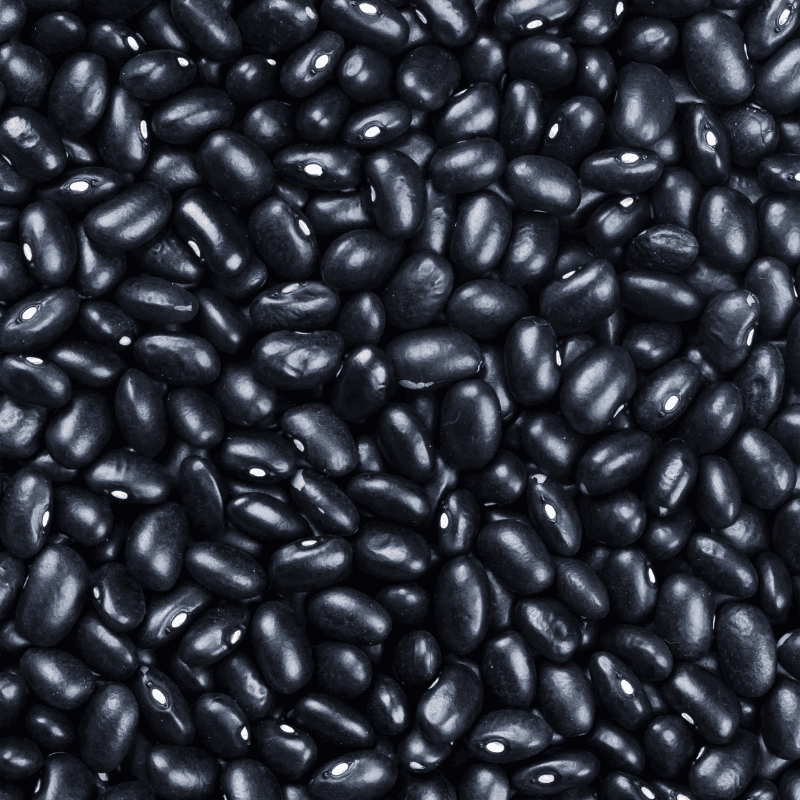 Black rajma beans