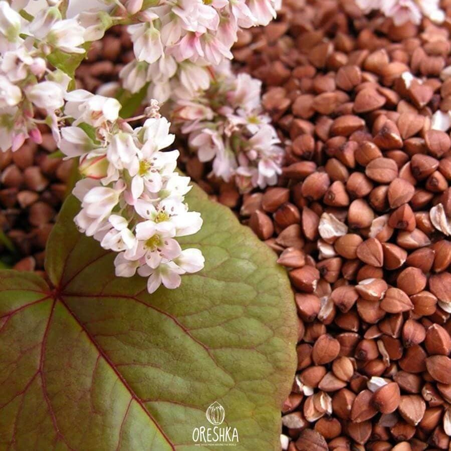 Buckwheat