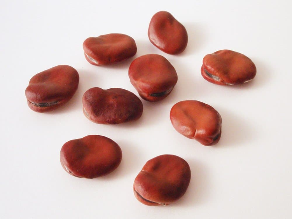 Baegle Bogla Dal Fava Beans