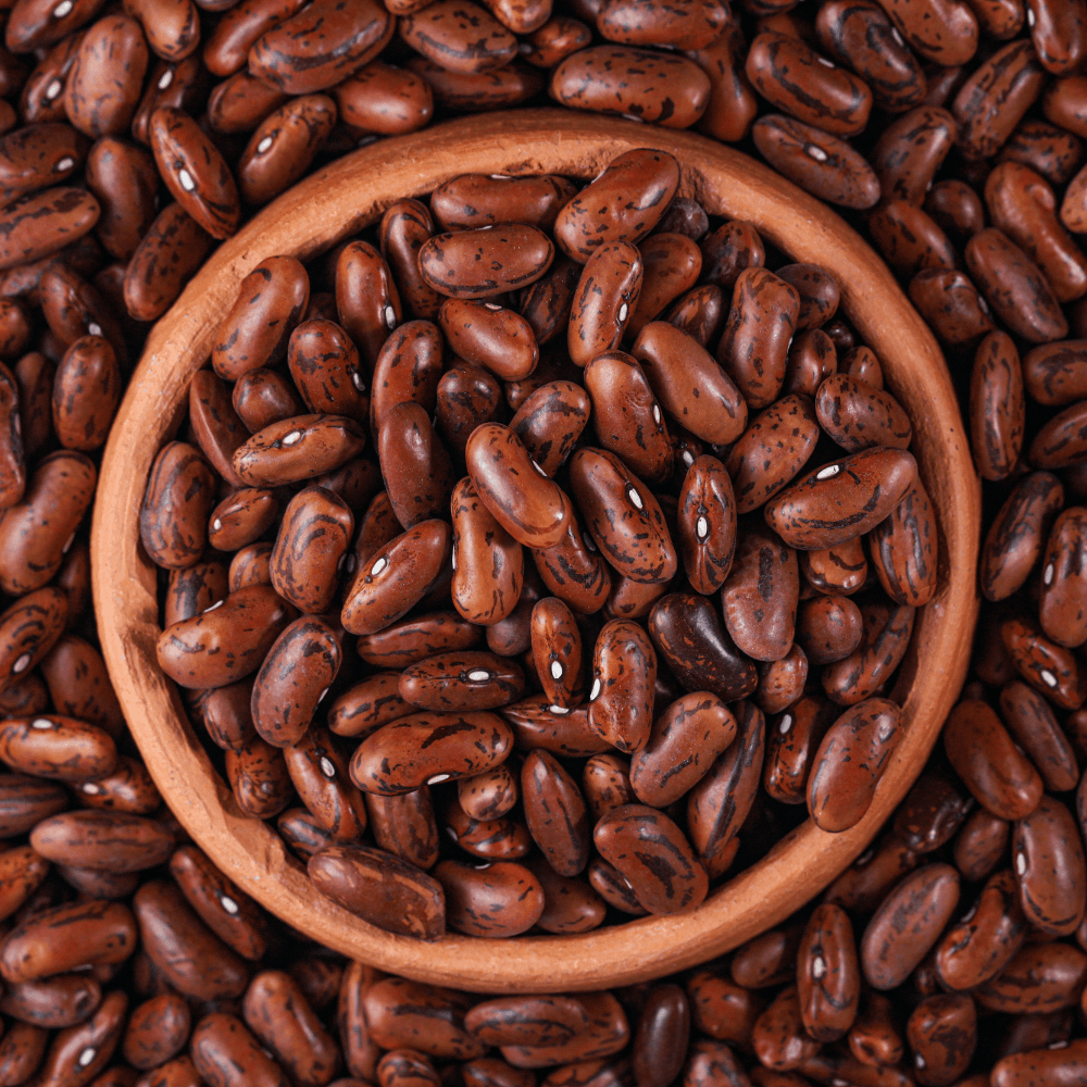 Rajma red variegated beans Joshimathi