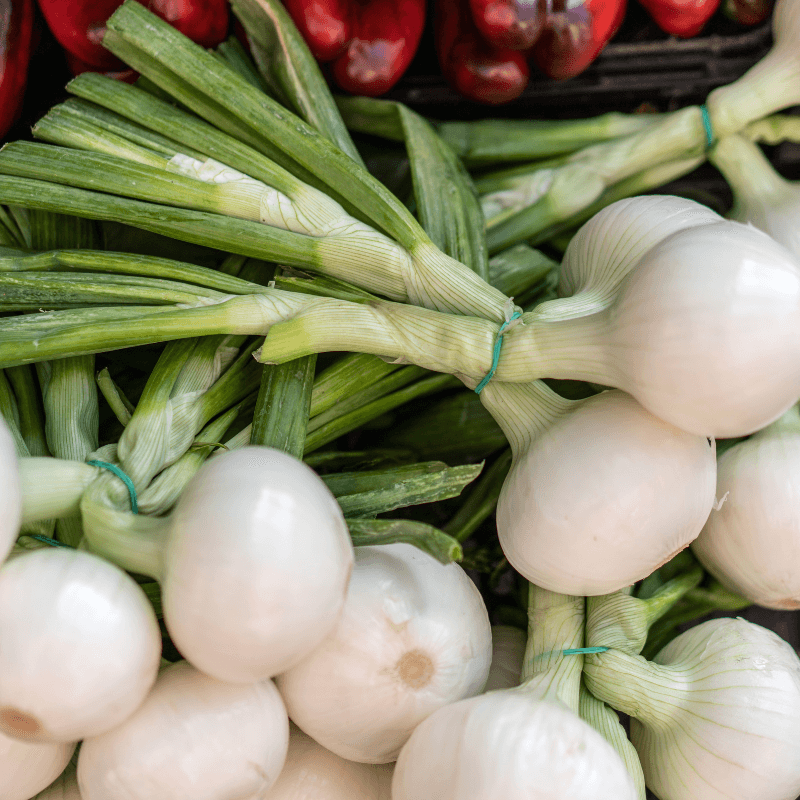 Onion white