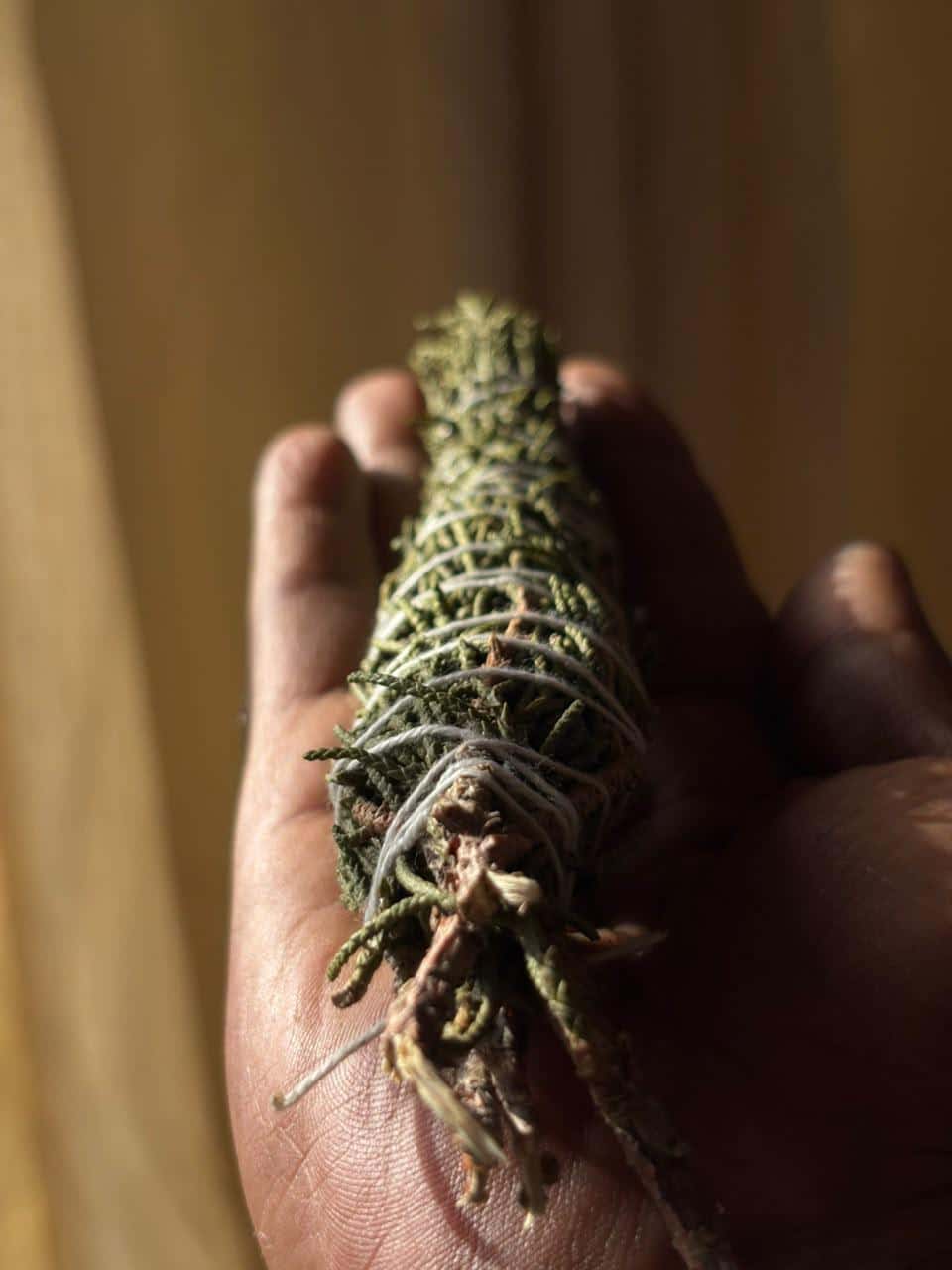 Himalayan Juniper Incense Bundle (Not Seeds)