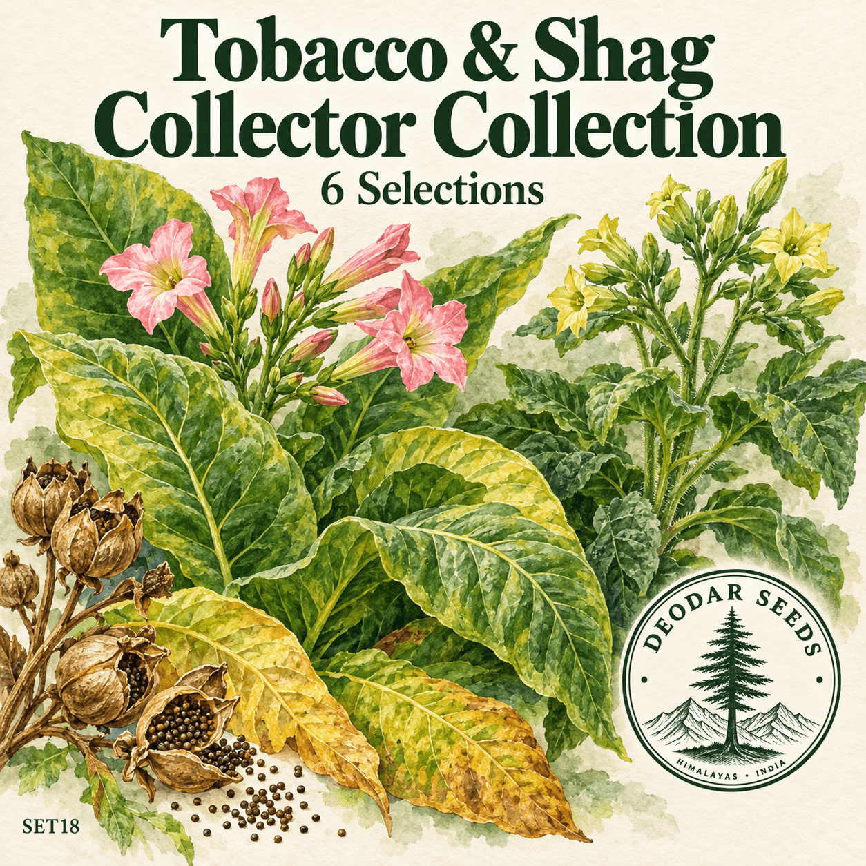 Tobacco & Shag Collector Collection, 6 Seed Varieties