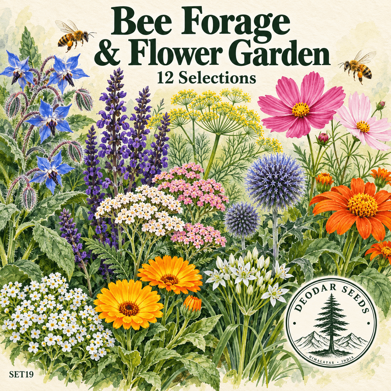 Bee Forage & Flower Garden Collection, 12 Seed Varieties
