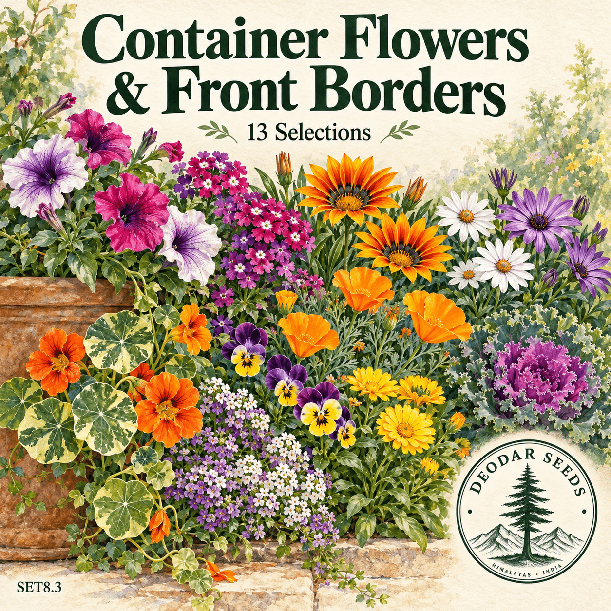 Container Flowers & Front Borders, 13 Seed Varieties