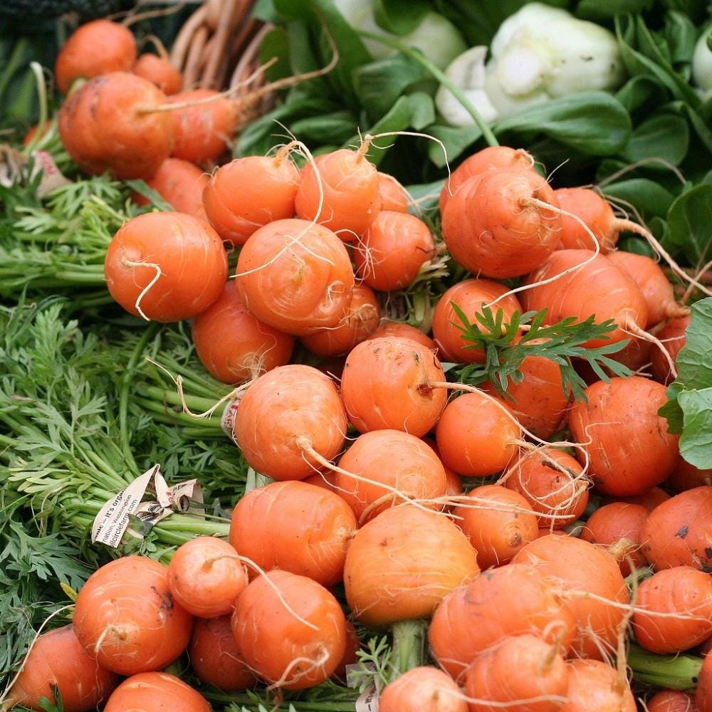 Paris Market Round Carrot Seeds — 100