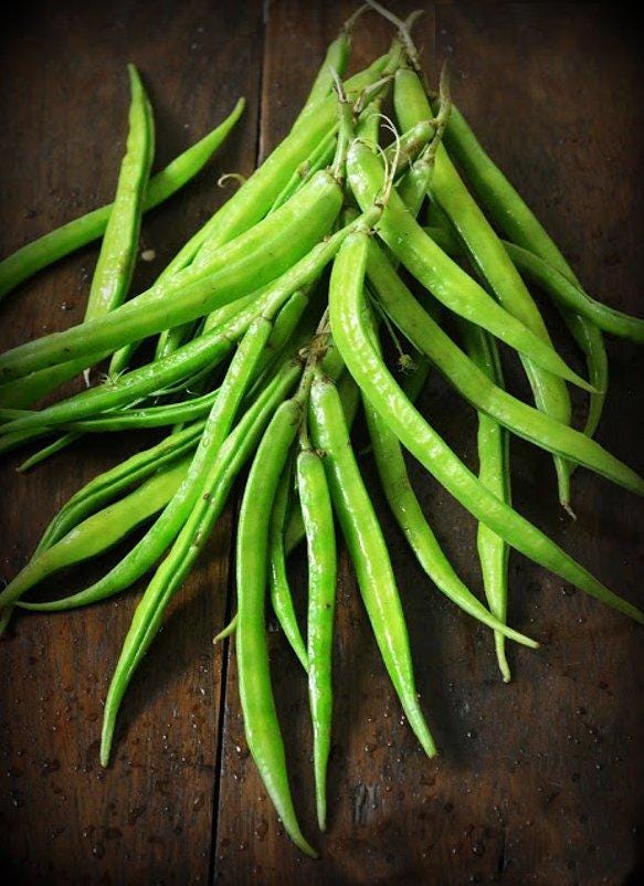 Cluster bean Neelam Seeds — 20