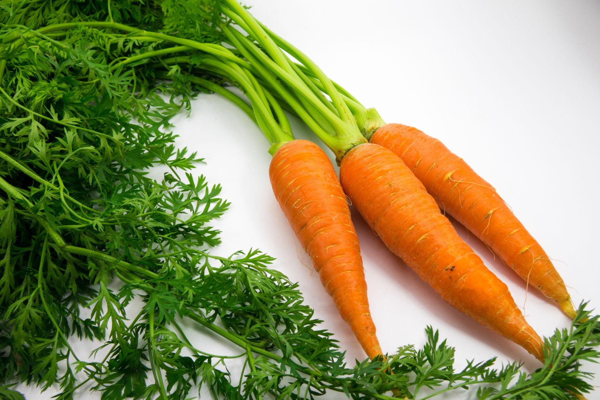 Orange Carrot Seeds — 100