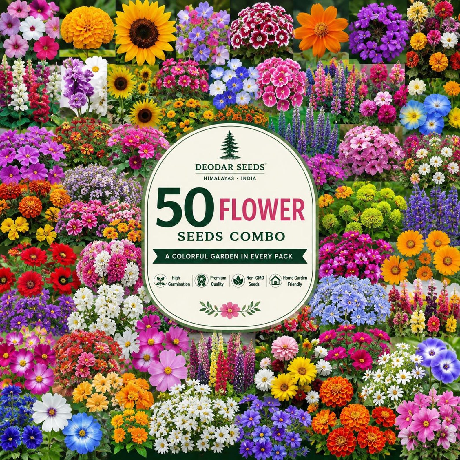 50 Flower Seeds Variety Pack, Colorful Garden Flower Seed Collection, Gift for Gardeners — 2000+