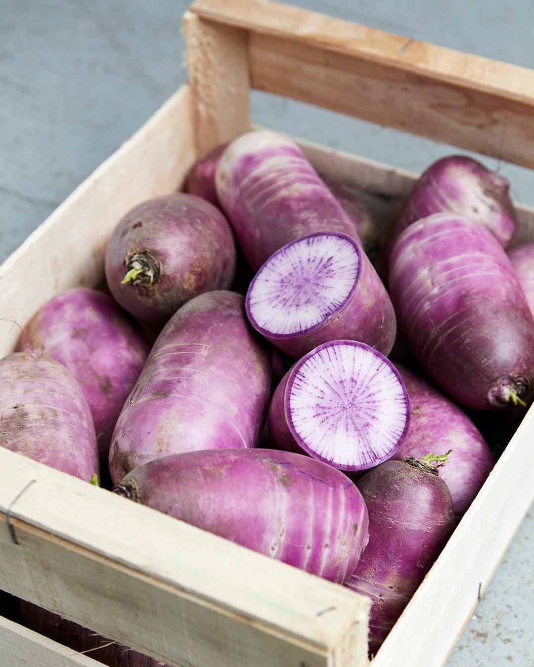 Radish purple Sango Seeds — 100