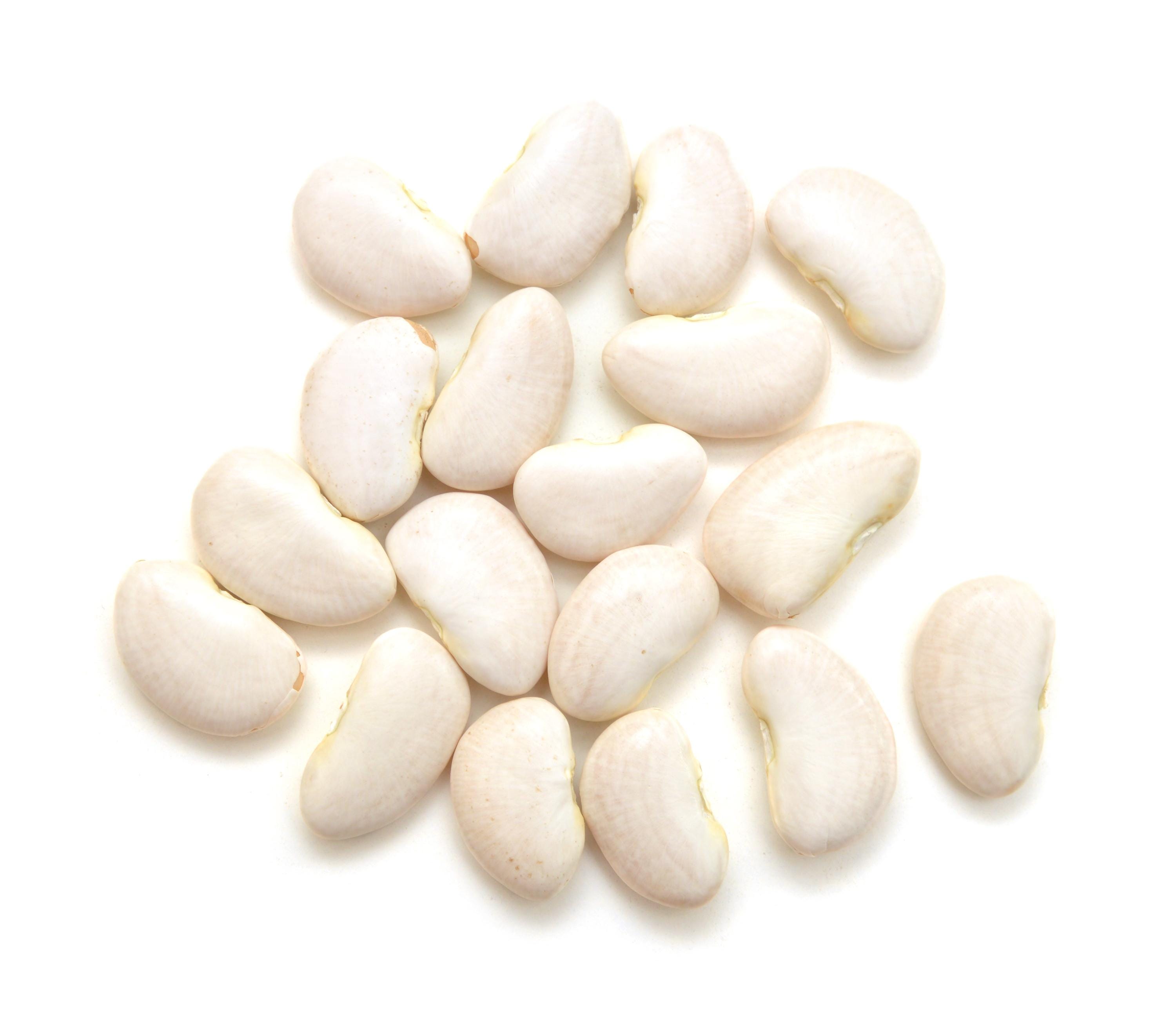 Small Lima Beans Seeds — 15