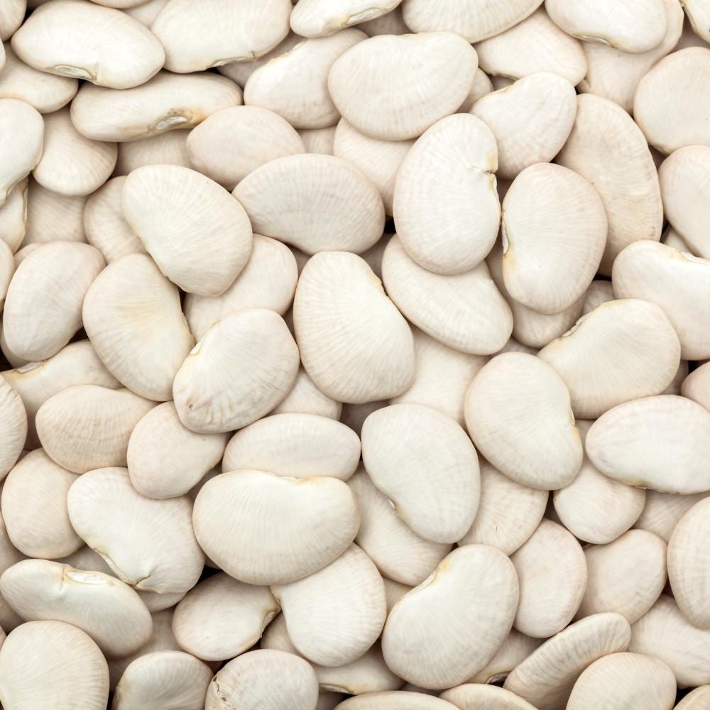 Lima big white beans Seeds — 10
