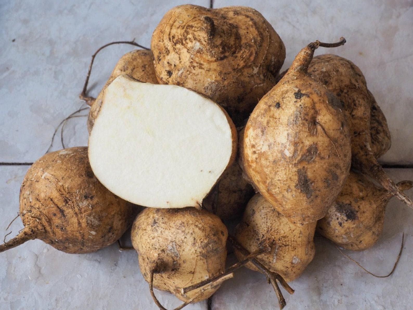 Yam Bean (Jicama) Seeds — 10