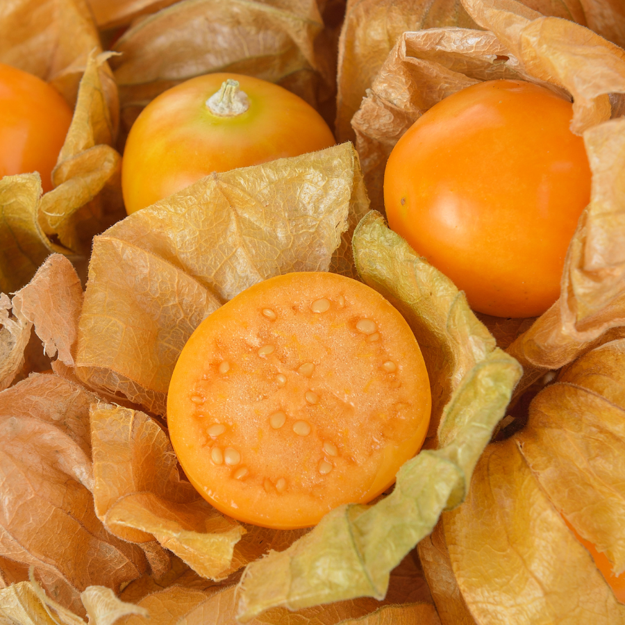 Physalis yellow sweet Seeds — 30