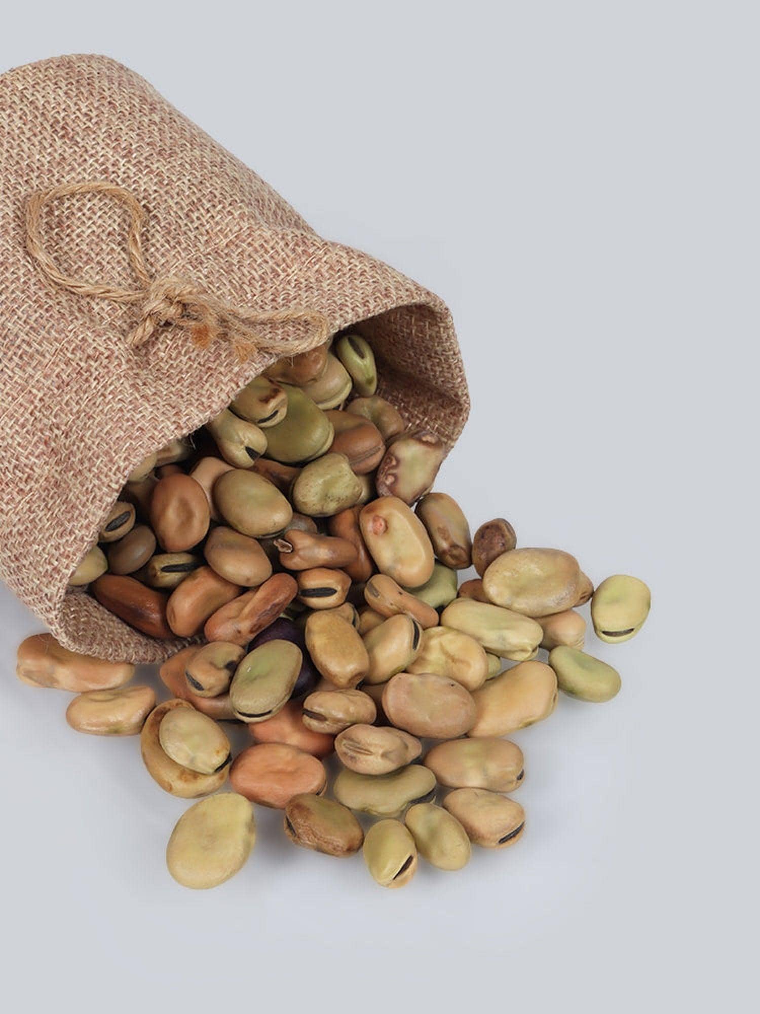 Baegle Bogla Dal Fava Beans Seeds — 10