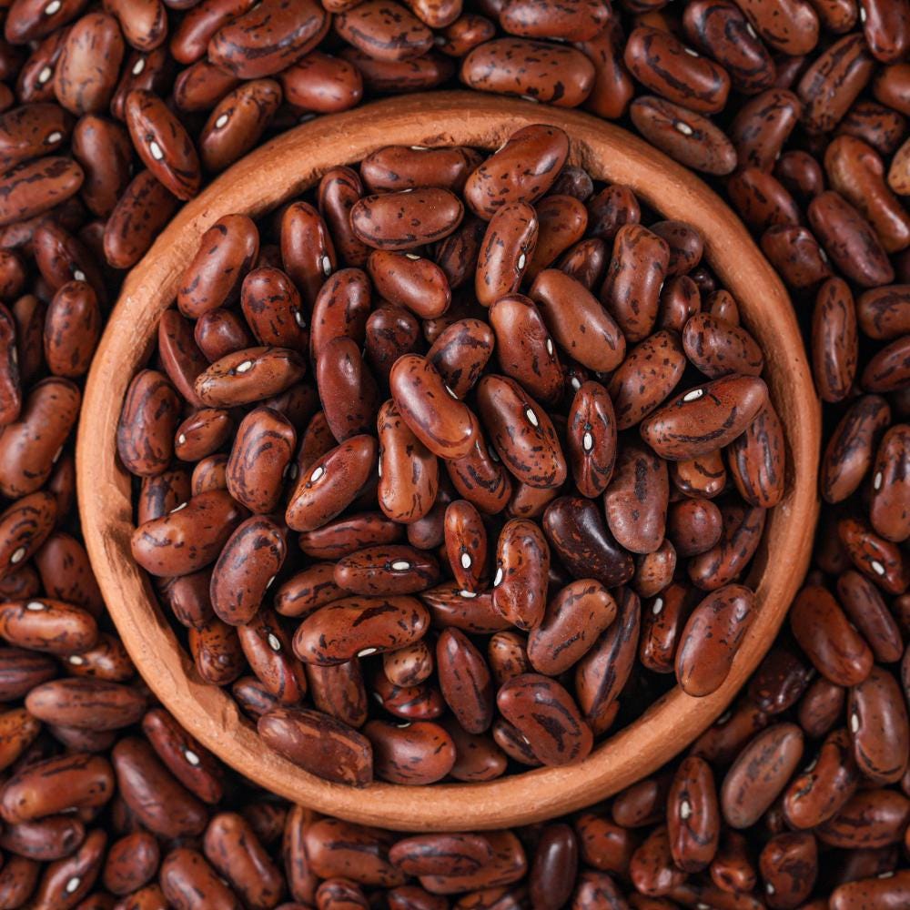 Rajma red variegated beans Joshimathi Seeds — 30