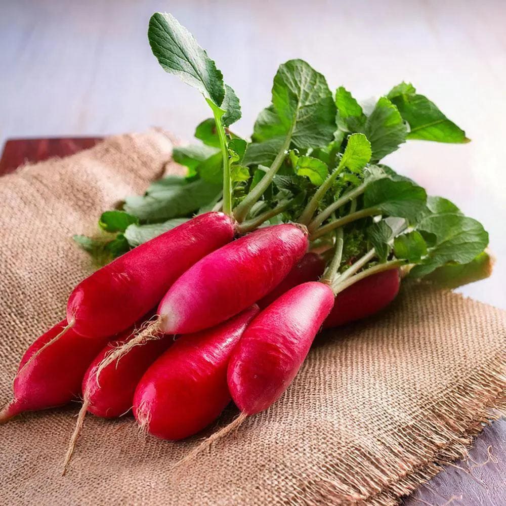 Radish Full Red (Mooli) Seeds — 300