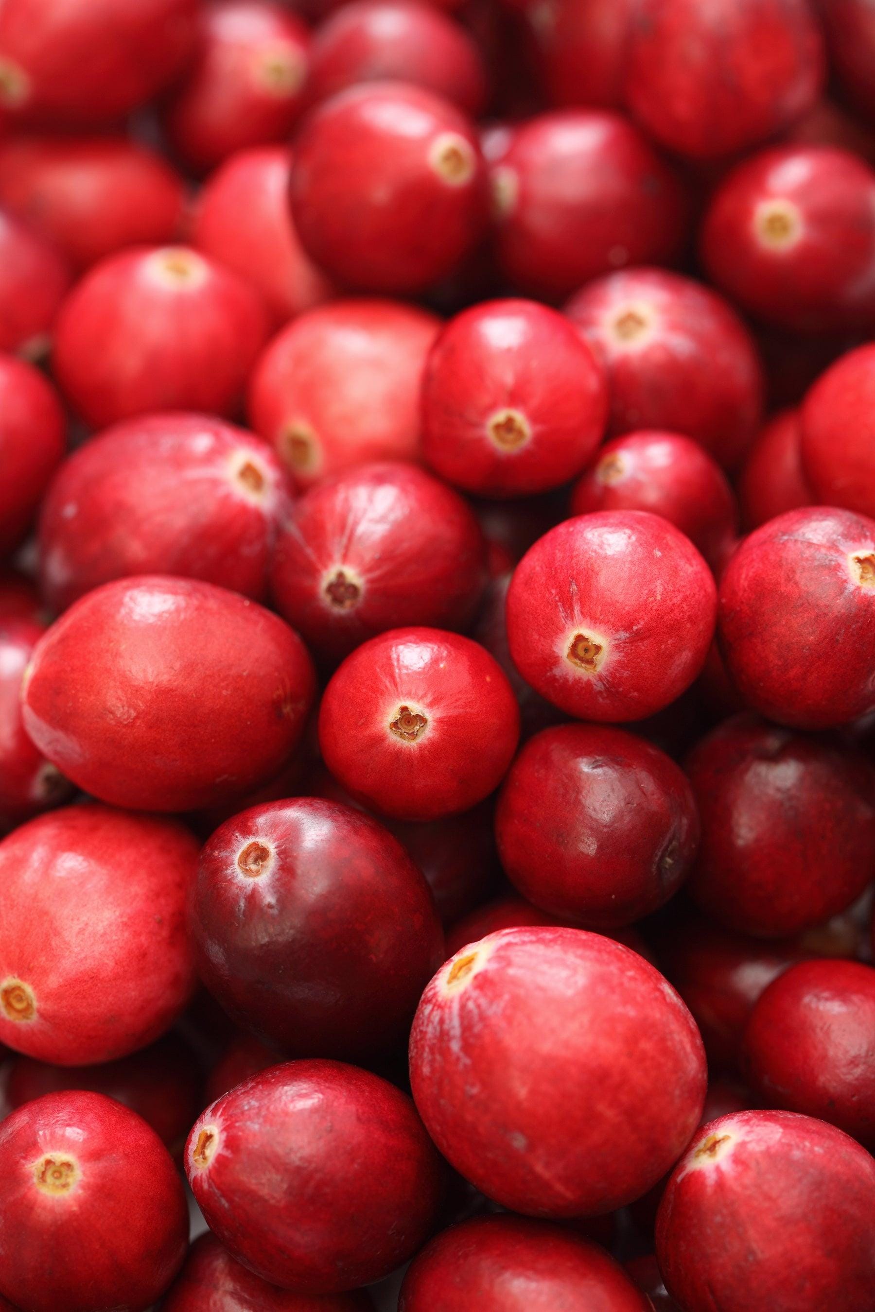 Cranberry Seeds — 30