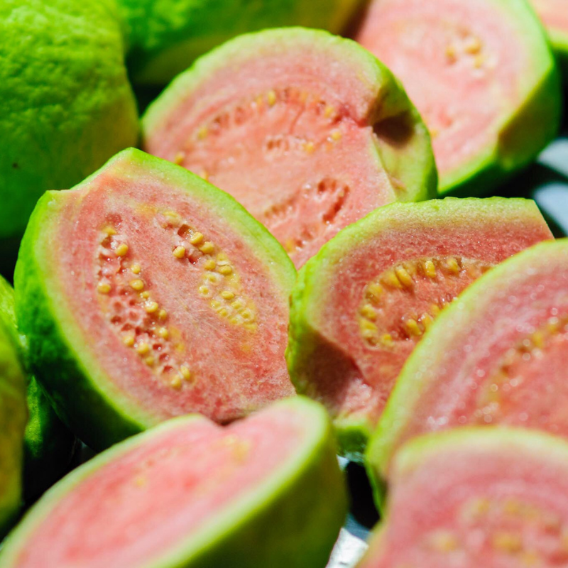 Guava, Amrud Allahabadi Seeds — 100