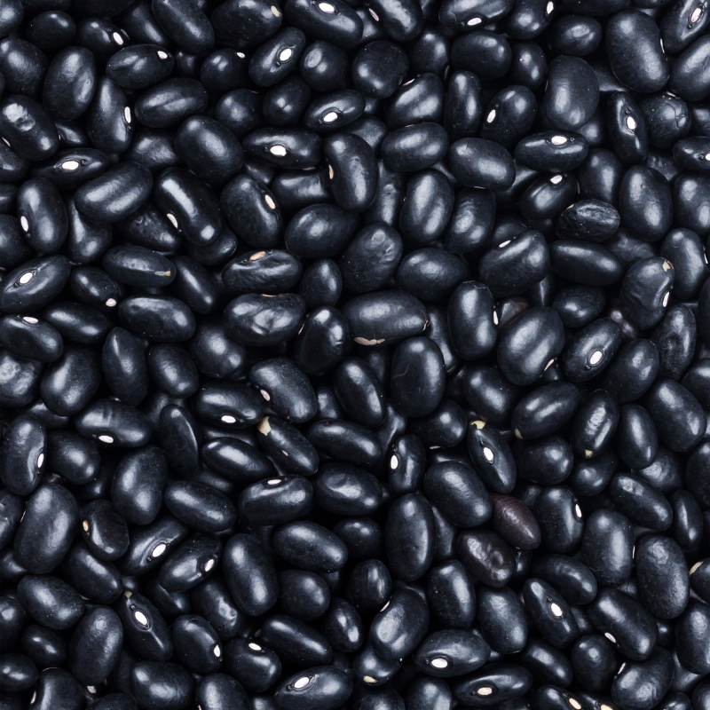 Black rajma beans Seeds — 30
