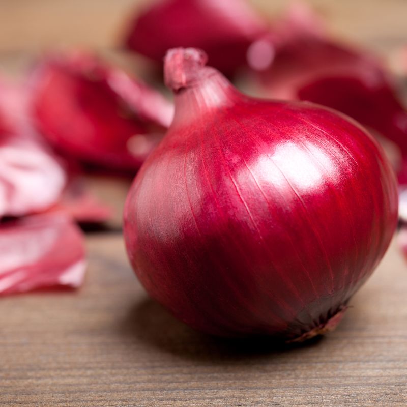 Onion Pusa red Seeds — 50