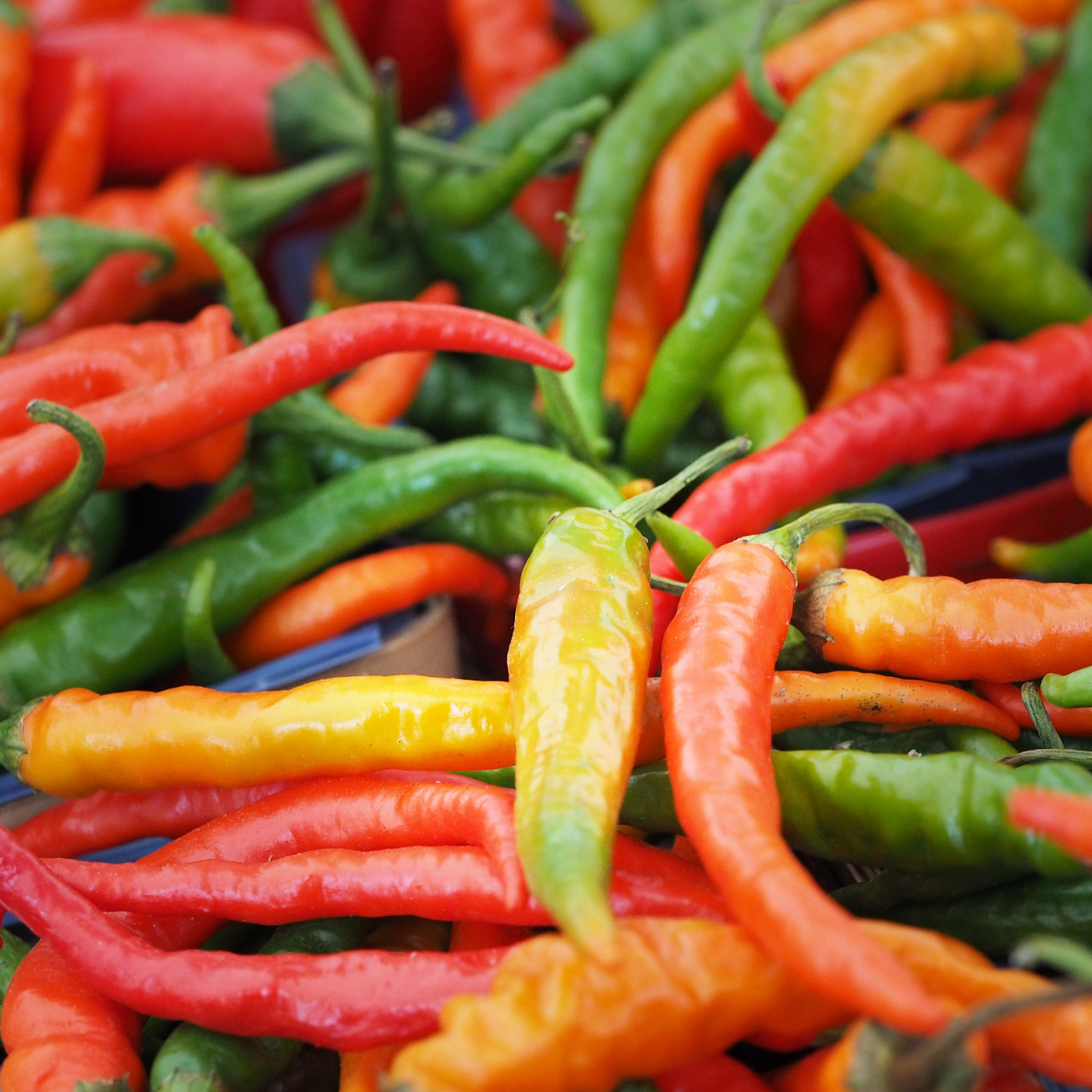 Hot pepper Tsitsak Seeds — 25