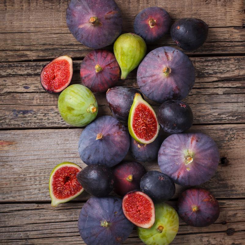 Himalayan Fig, Punjab fig Seeds — 50