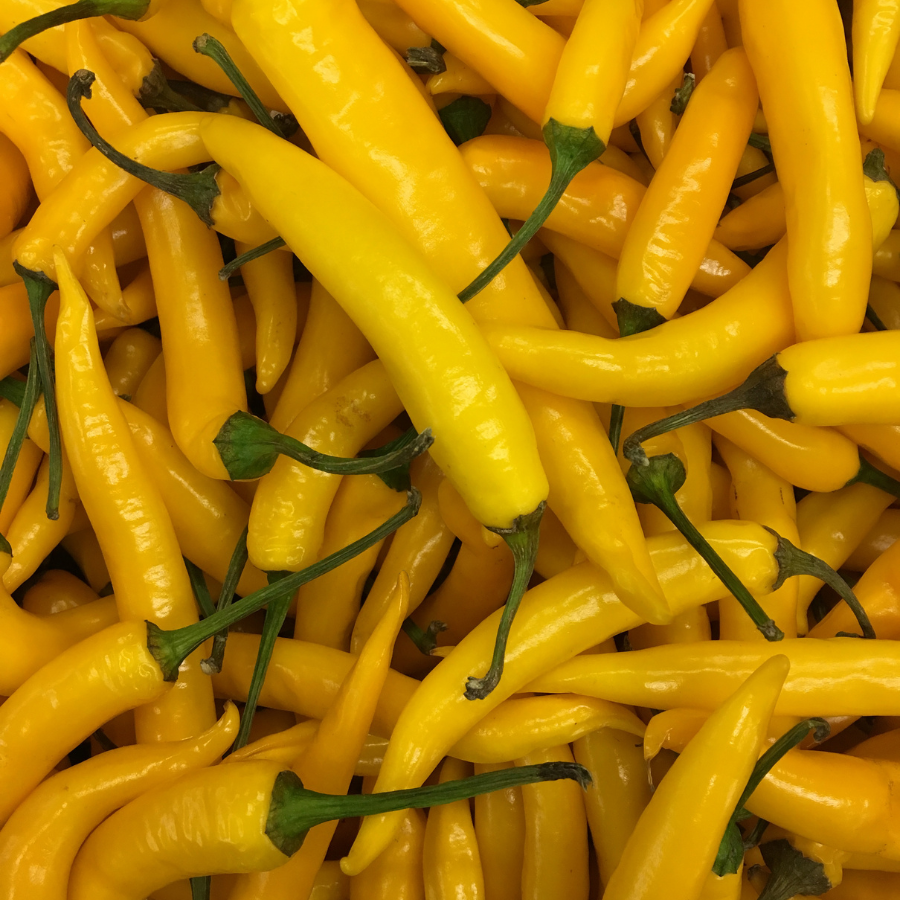 Yellow chili pepper Seeds — 50