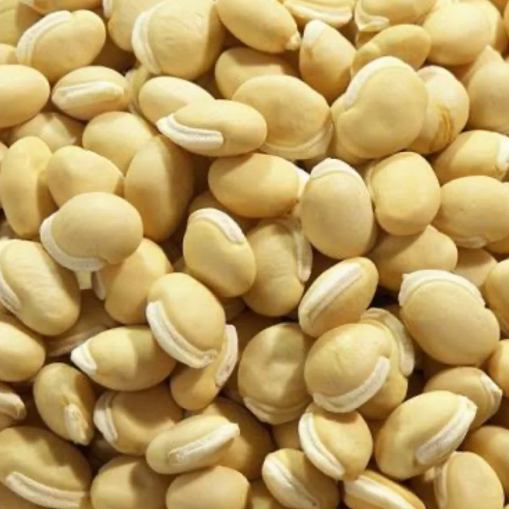 White desi vaal beans Seeds — 10