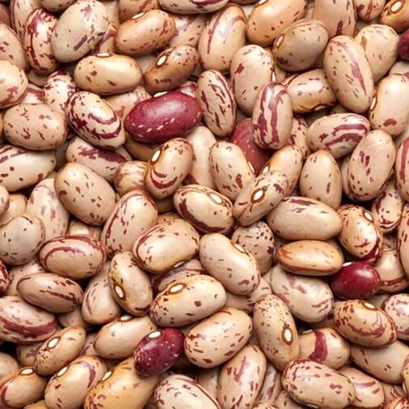 Rajma beans Chitra (pinto) Seeds — 10