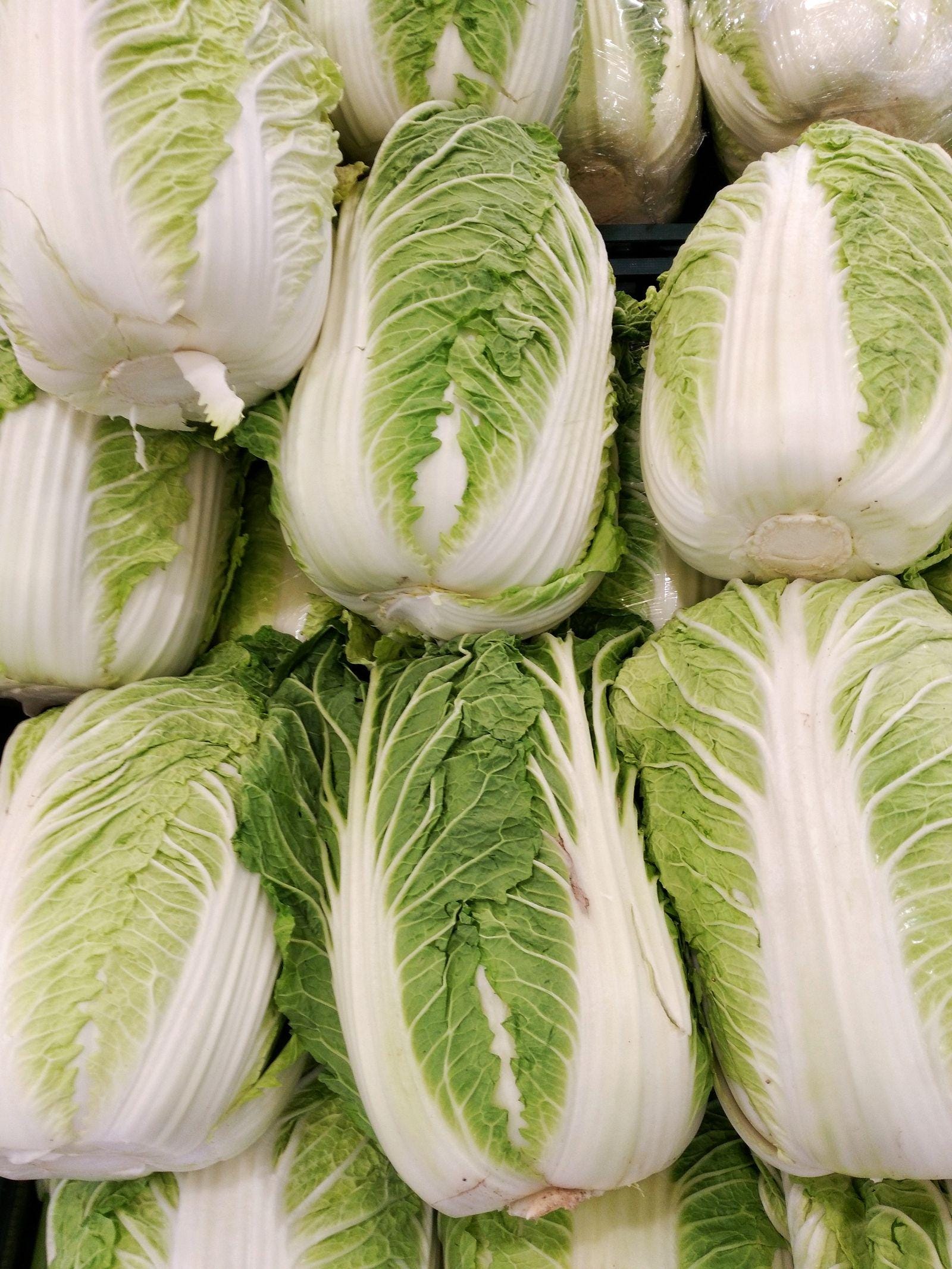 Napa Chinese Cabbage Seeds — 100