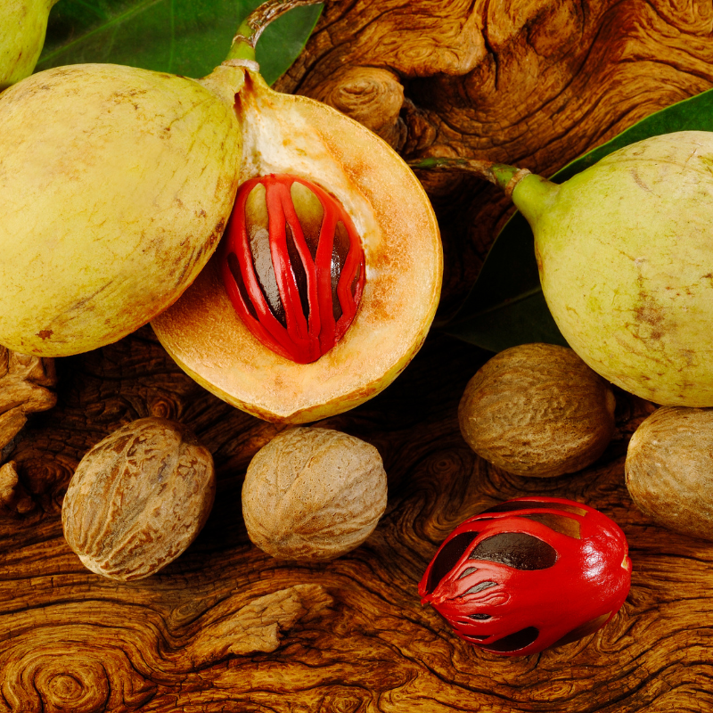 Nutmeg Seeds — 3