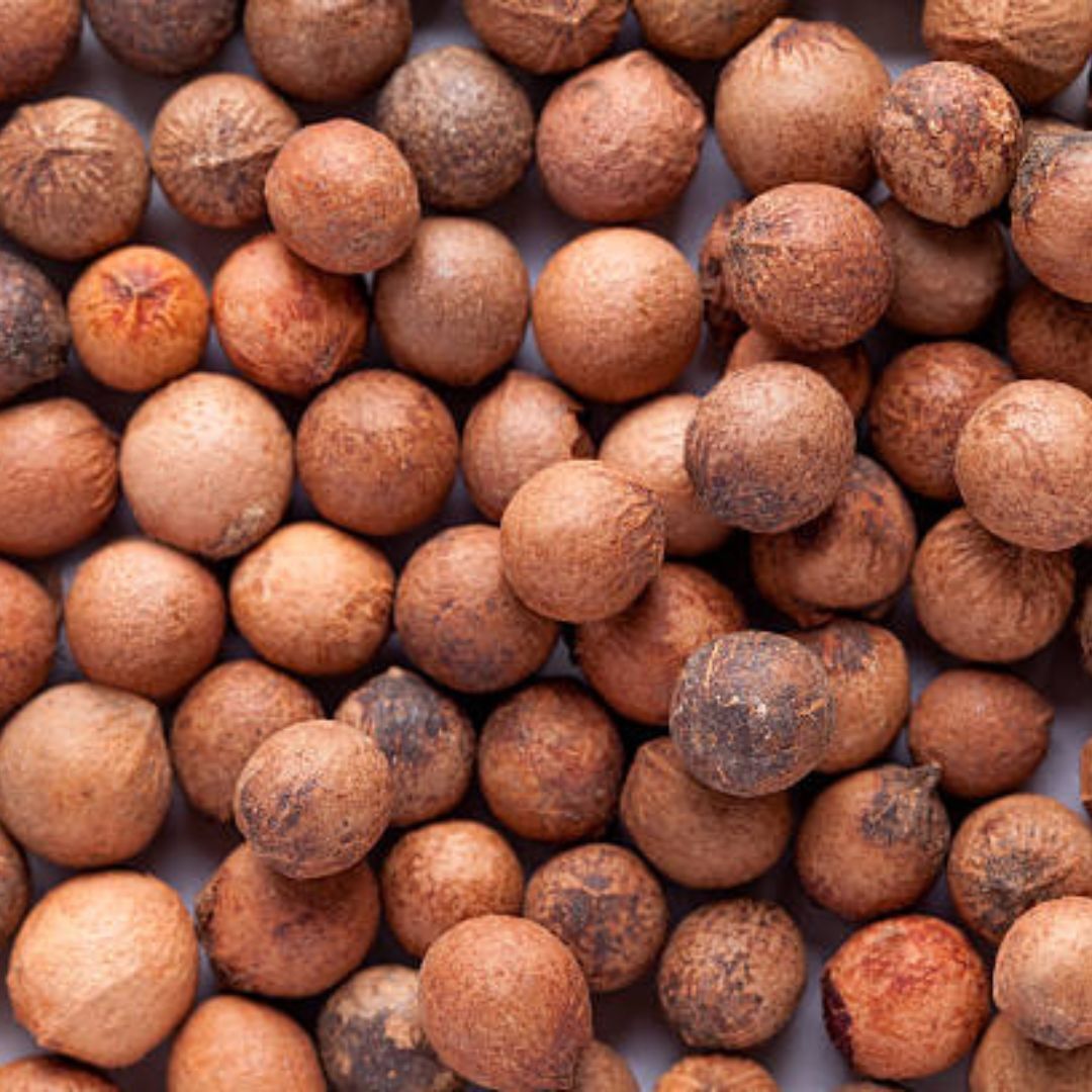 White Sandalwood Seeds — 10