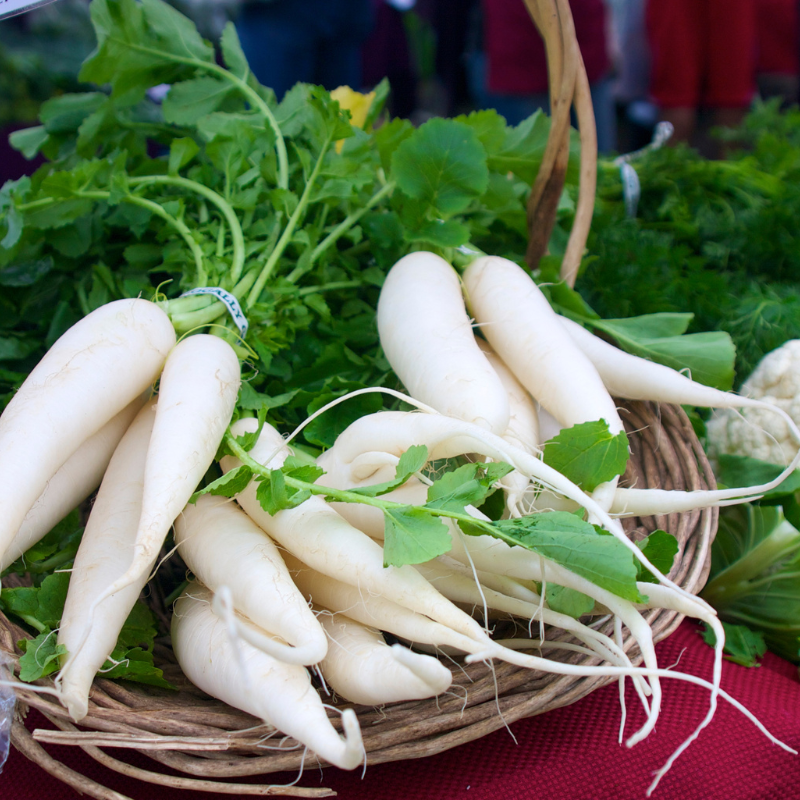 White Radish (Daikon Radish) Seeds — 100
