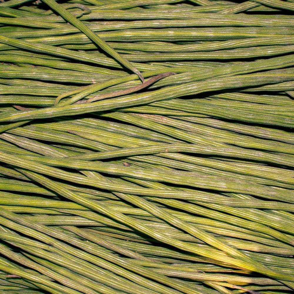 Singra (Mongra) Seeds