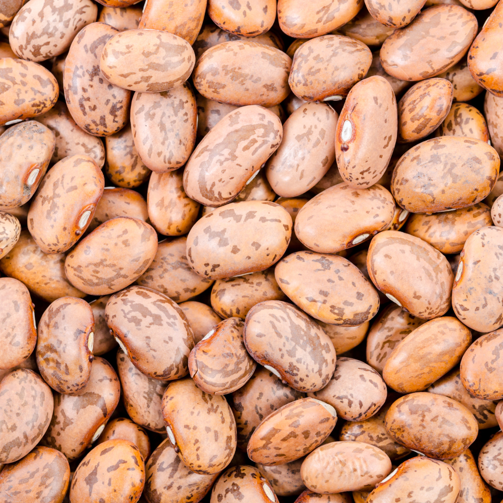 Kashmiri Cranberry Beans, Thull Rajma Seeds — 15
