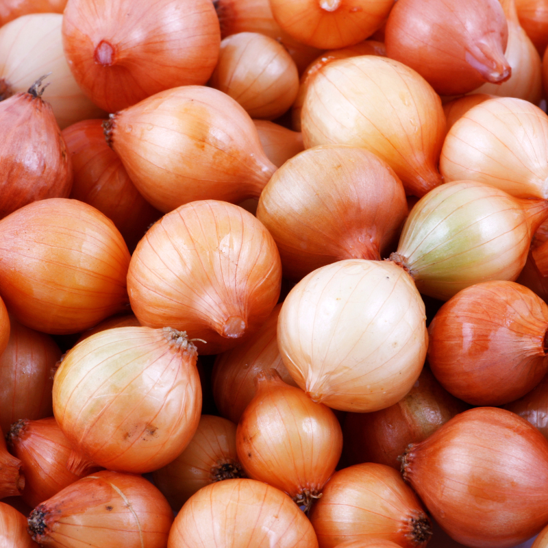 Gold onion, Golden, Orange Seeds — 50