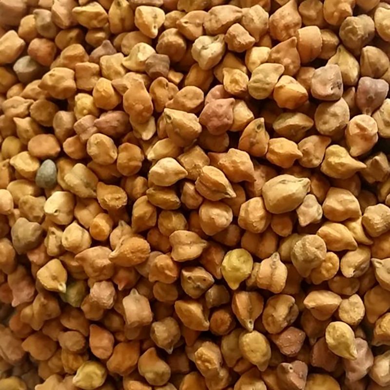 Chickpeas brown Seeds — 25