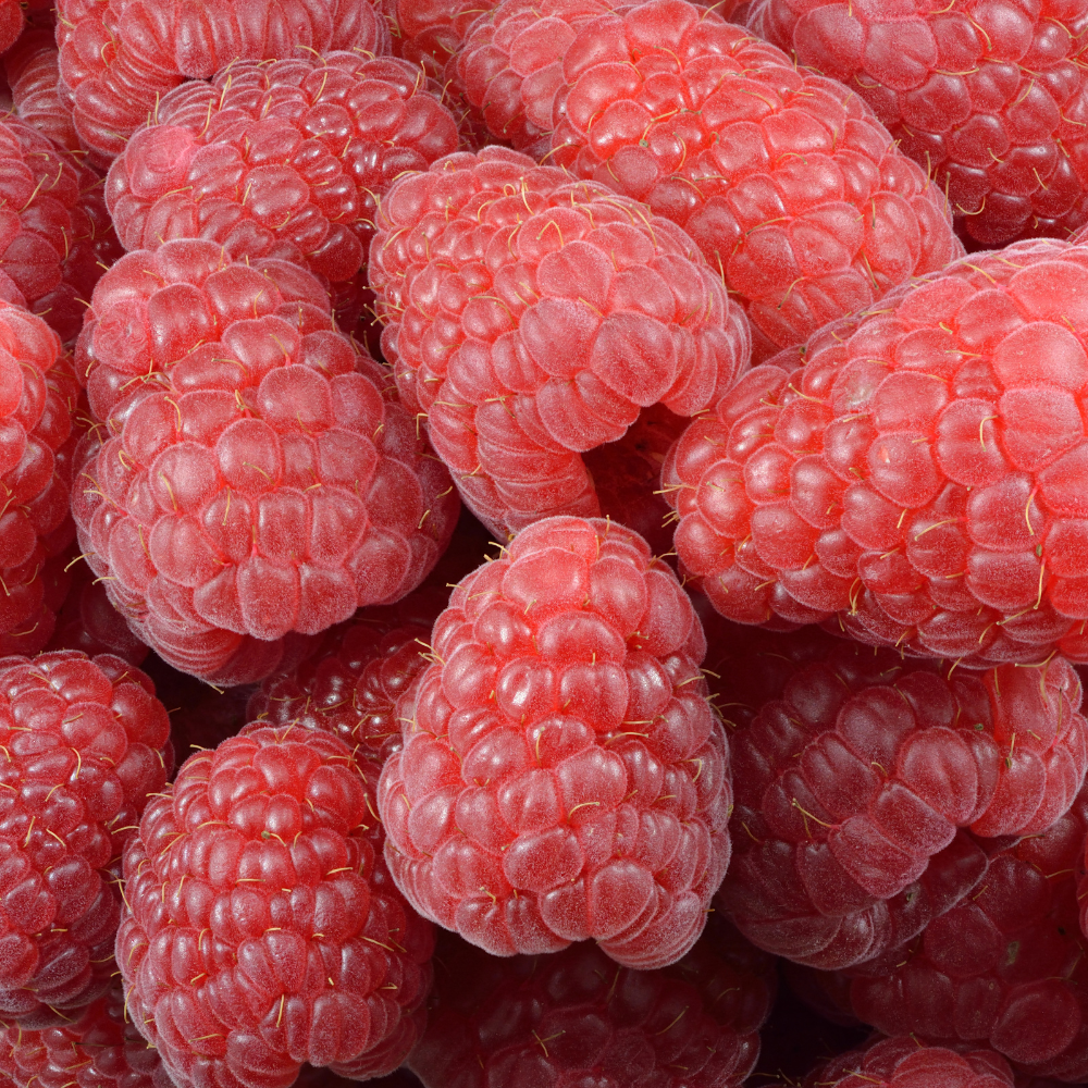 Big raspberry Maroseika Seeds — 300