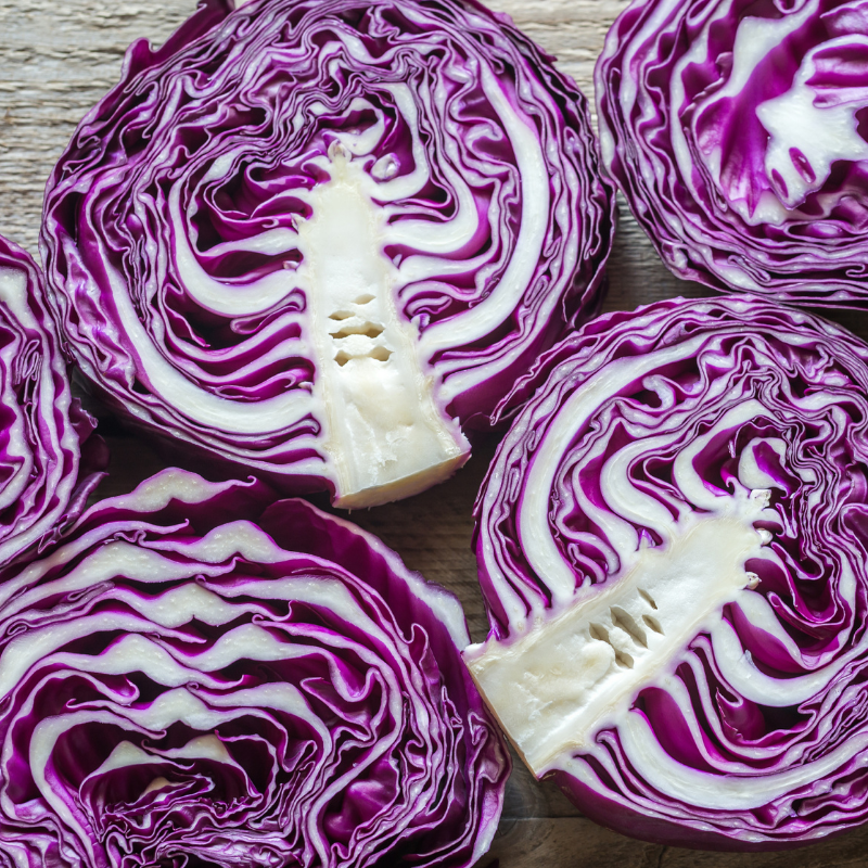 Cabbage red Seeds — 100