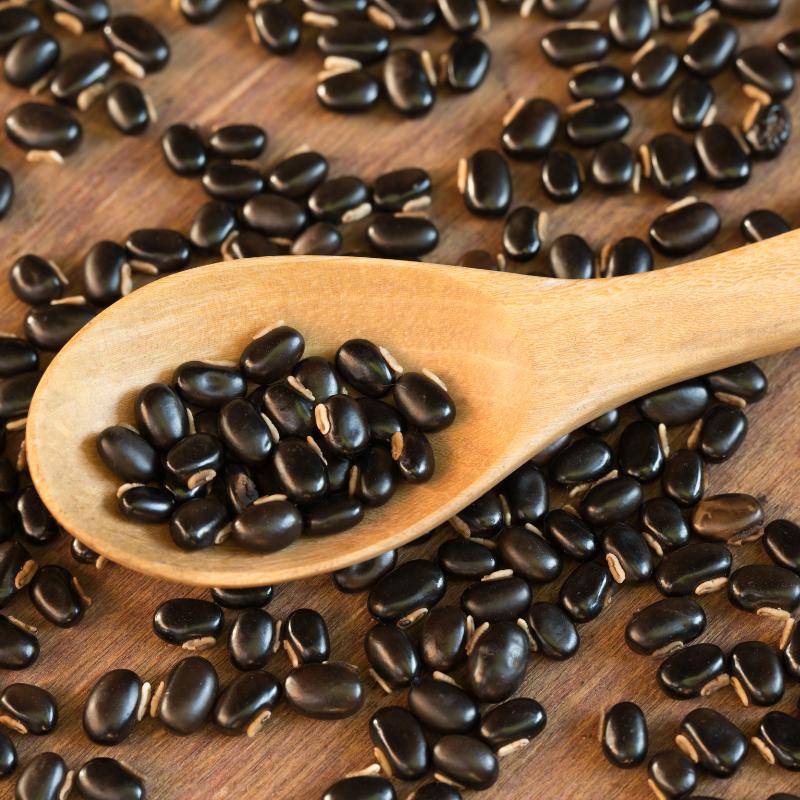 Mucuna pruriens, Velvet bean Seeds — 10
