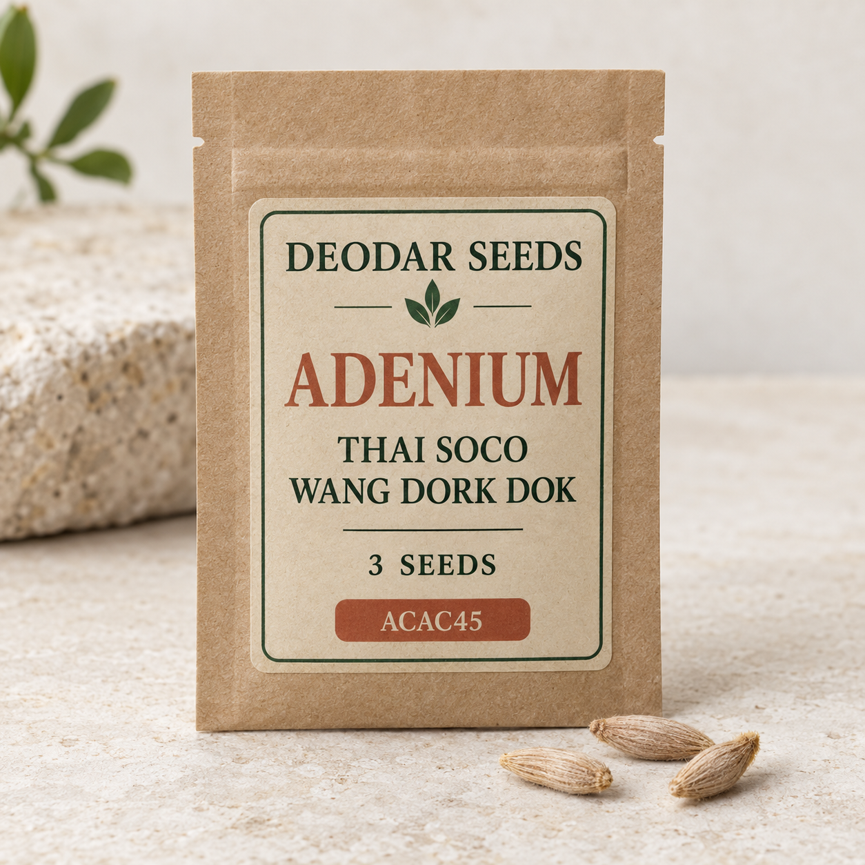 Adenium Thai Soco Wang Dork Dok Seeds — 3